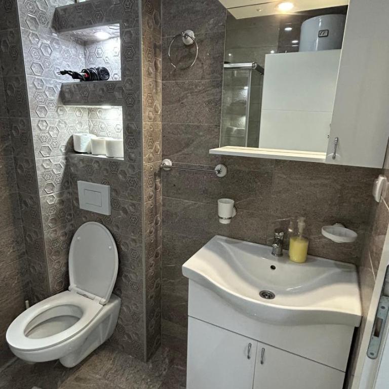 Apartman Vukosavljević - Apartman s 1 Spavaćom Sobom i Terasom - 3