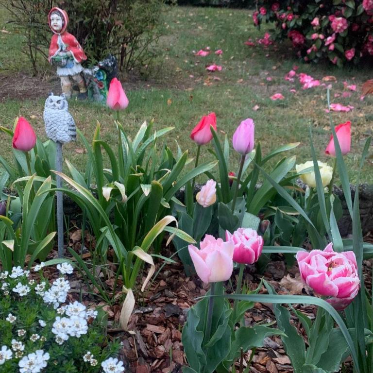 Casa Fiorita, Luino, il tempo rallenta tra lago e fiori - Casa con 2 Camere da Letto - 41