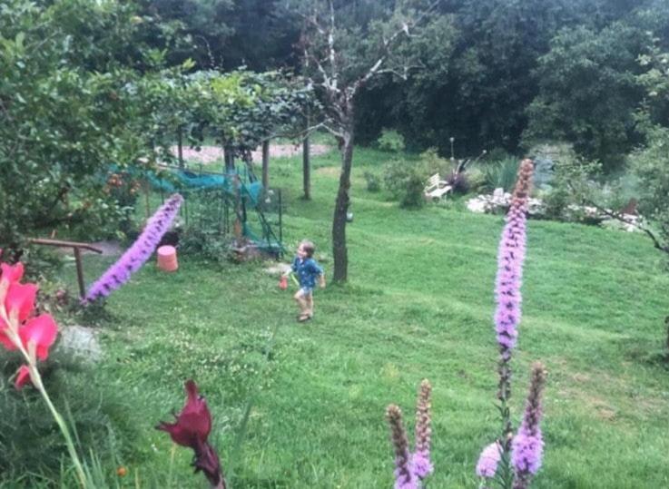 Casa Fiorita, Luino, il tempo rallenta tra lago e fiori - Casa con 2 Camere da Letto - 43