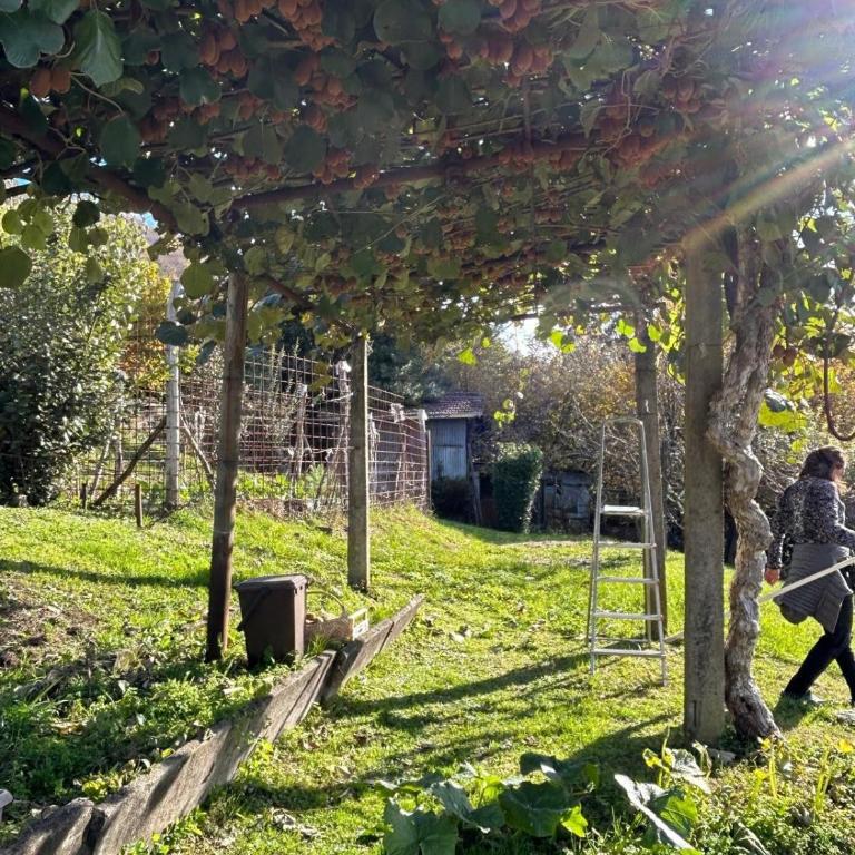 Casa Fiorita, Luino, il tempo rallenta tra lago e fiori - Casa con 2 Camere da Letto - 46