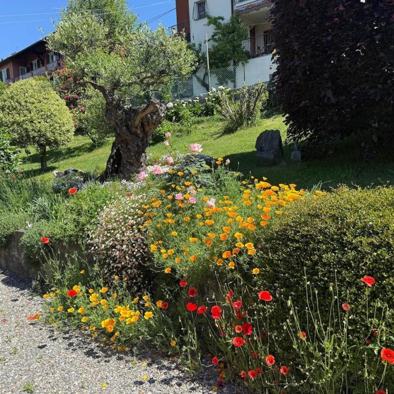 Casa Fiorita, Luino, il tempo rallenta tra lago e fiori - Casa con 2 Camere da Letto - 59