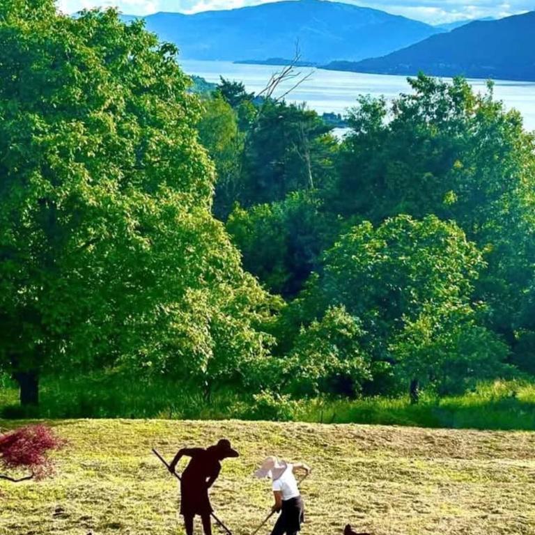 Casa Fiorita, Luino, il tempo rallenta tra lago e fiori - Casa con 2 Camere da Letto - 63
