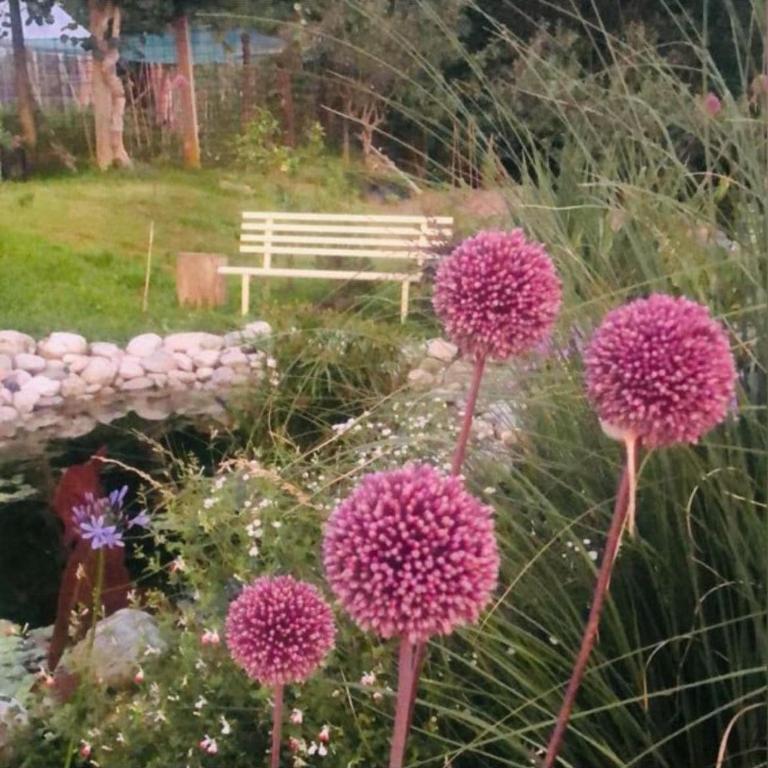 Casa Fiorita, Luino, il tempo rallenta tra lago e fiori - Casa con 2 Camere da Letto - 66