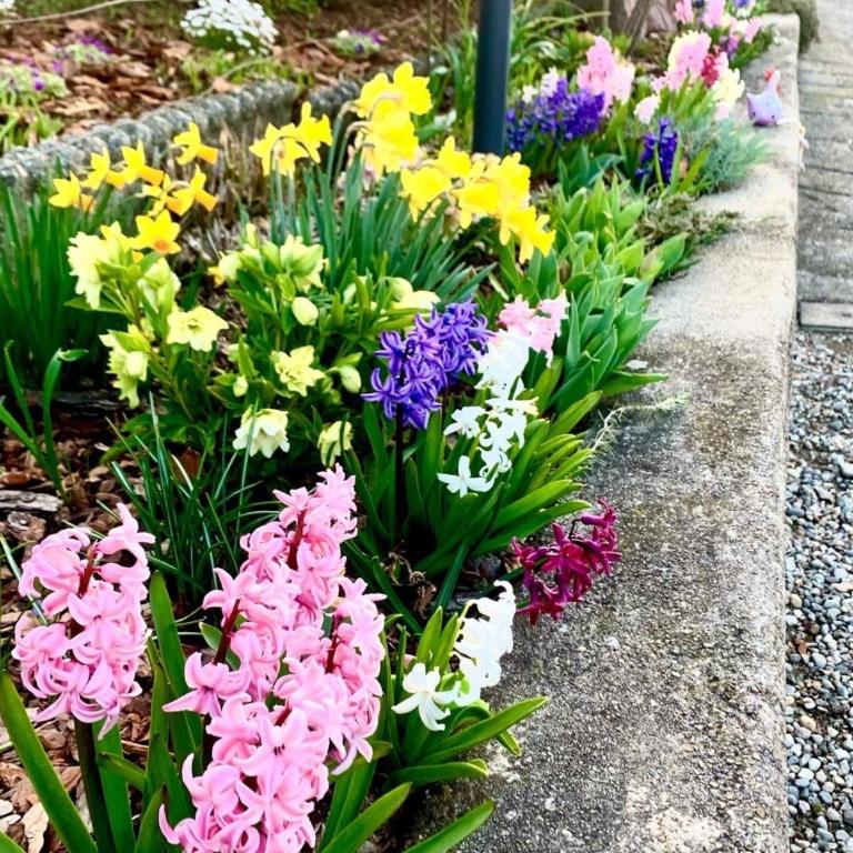 Casa Fiorita, Luino, il tempo rallenta tra lago e fiori - Casa con 2 Camere da Letto - 68