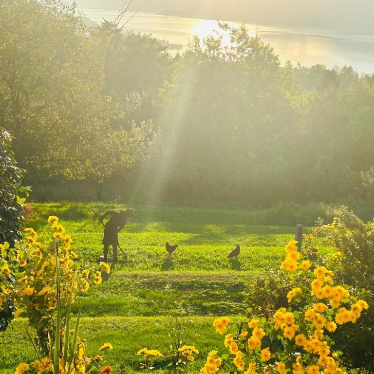 Casa Fiorita, Luino, il tempo rallenta tra lago e fiori - Casa con 2 Camere da Letto - 70