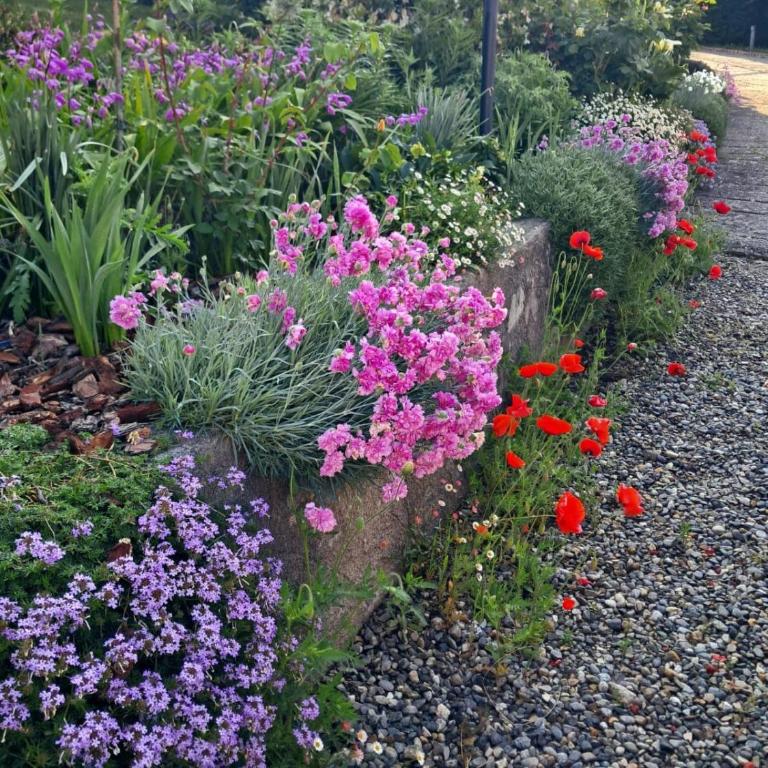 Casa Fiorita, Luino, il tempo rallenta tra lago e fiori - Casa con 2 Camere da Letto - 71