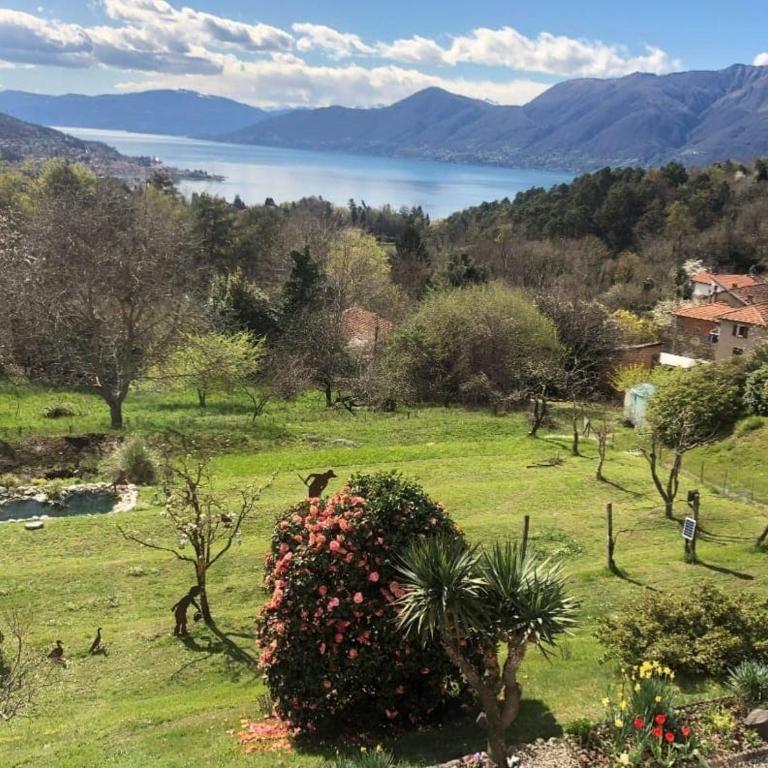 Casa Fiorita, Luino, il tempo rallenta tra lago e fiori - Casa con 2 Camere da Letto - 72