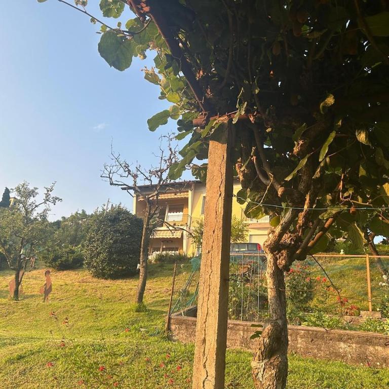Casa Fiorita, Luino, il tempo rallenta tra lago e fiori - Casa con 2 Camere da Letto - 79