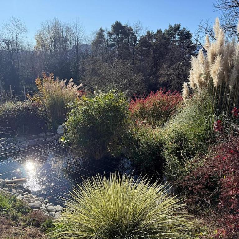 Casa Fiorita, Luino, il tempo rallenta tra lago e fiori - Casa con 2 Camere da Letto - 82