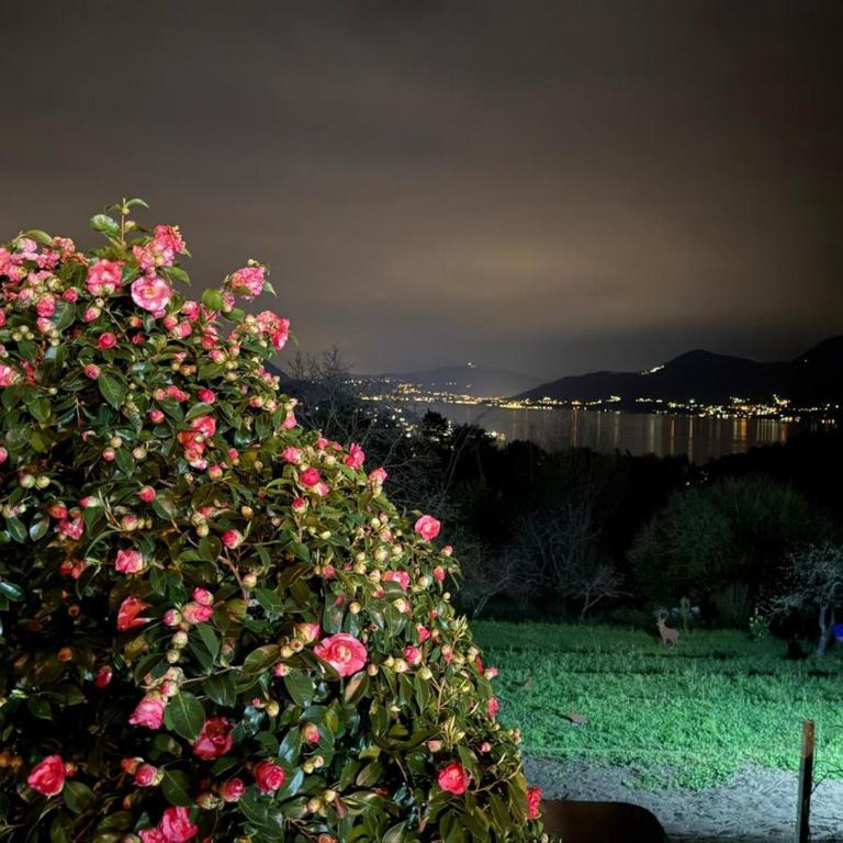 Casa Fiorita, Luino, il tempo rallenta tra lago e fiori - Casa con 2 Camere da Letto - 83