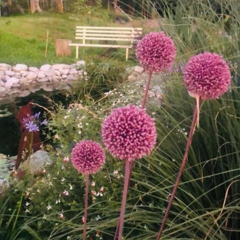 Casa Fiorita, Luino, il tempo rallenta tra lago e fiori - Casa con 2 Camere da Letto - 90