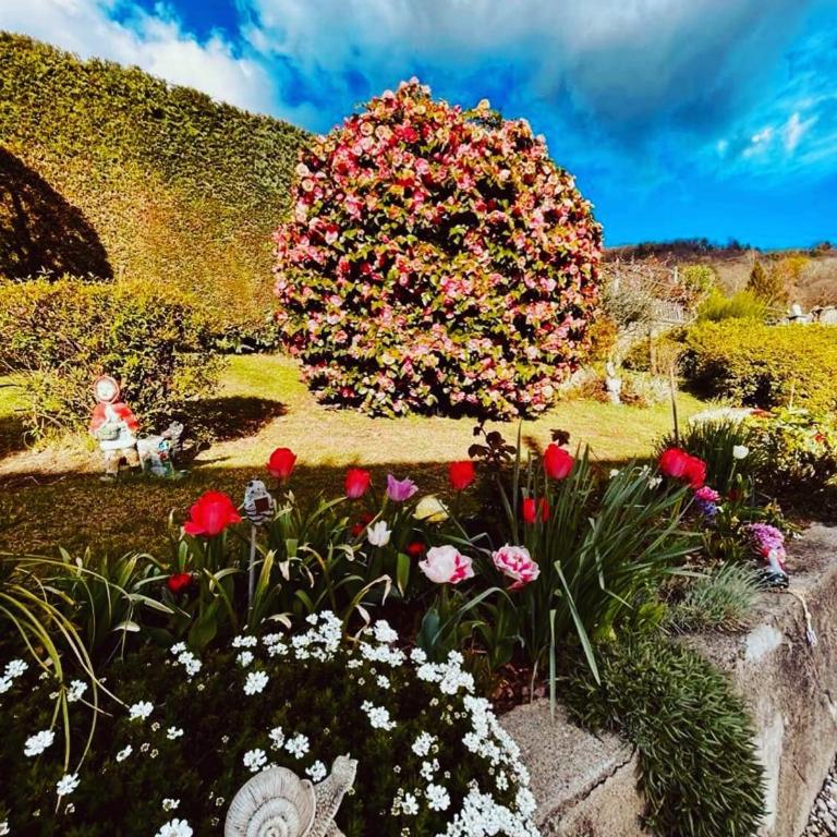 Casa Fiorita, Luino, il tempo rallenta tra lago e fiori - Casa con 2 Camere da Letto - 92