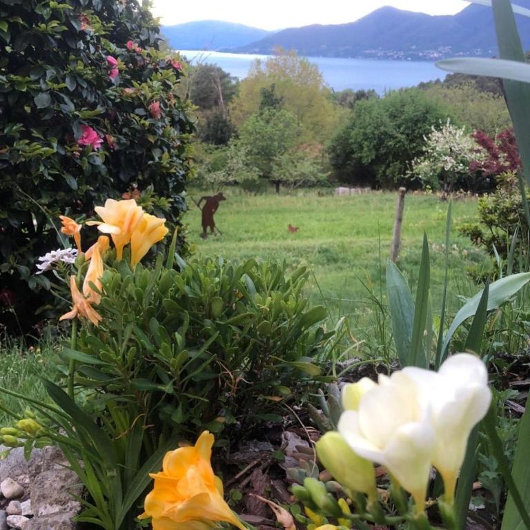 Casa Fiorita, Luino, il tempo rallenta tra lago e fiori - Casa con 2 Camere da Letto - 98