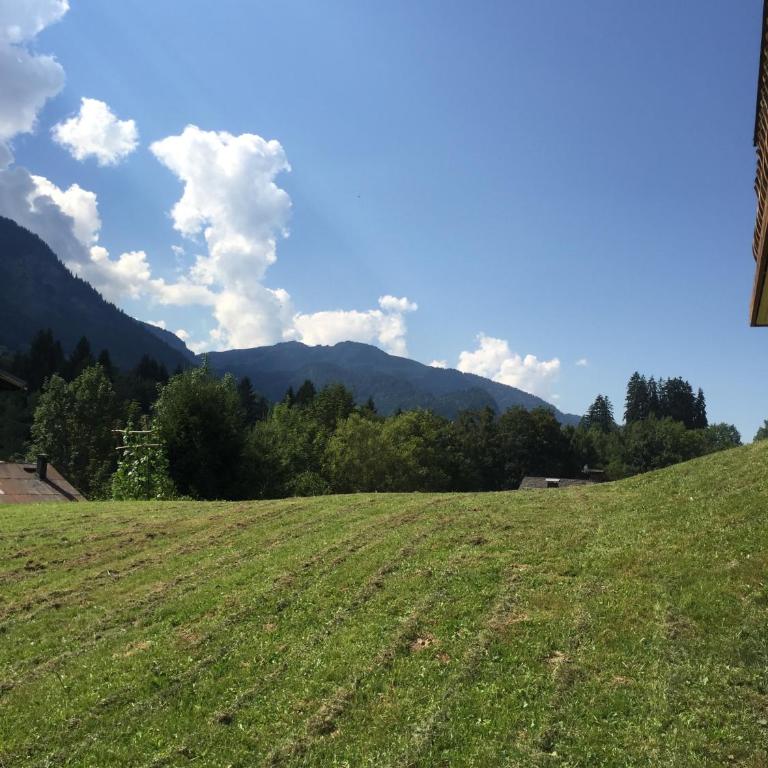 Chalet K2 - Apartment - 24