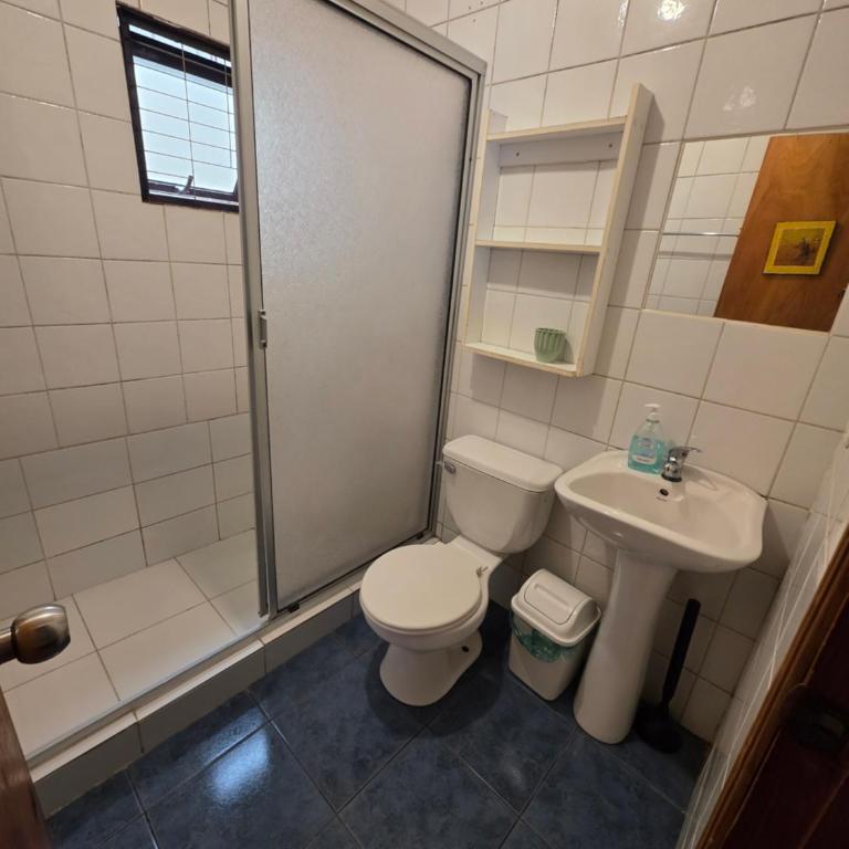 Cabanas Carluis Valdivia - Two-Bedroom Apartment - 5