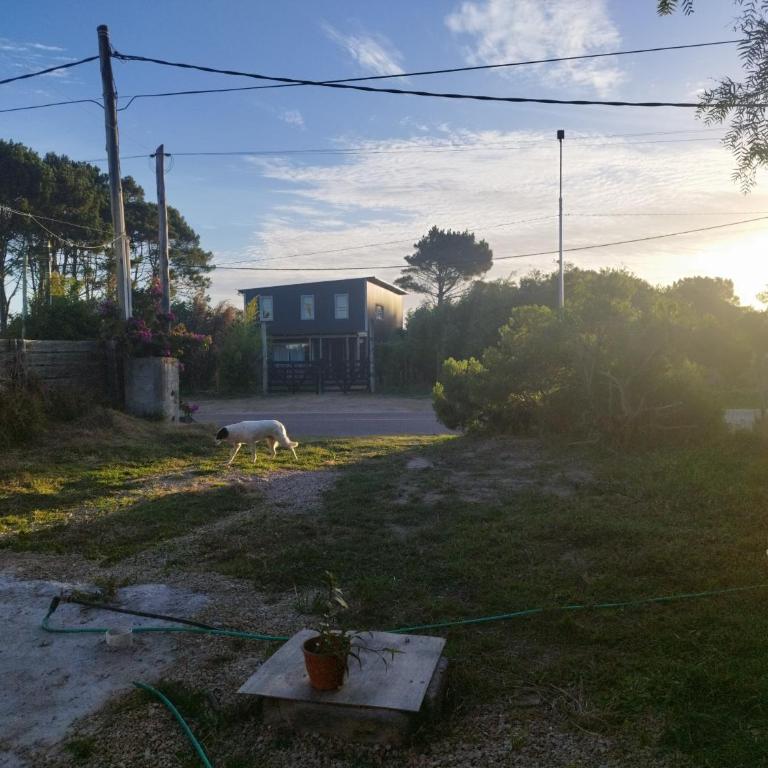 Rancho a 1 cuadra del Océano atlantico - Casa con 1 dormitorio - 10