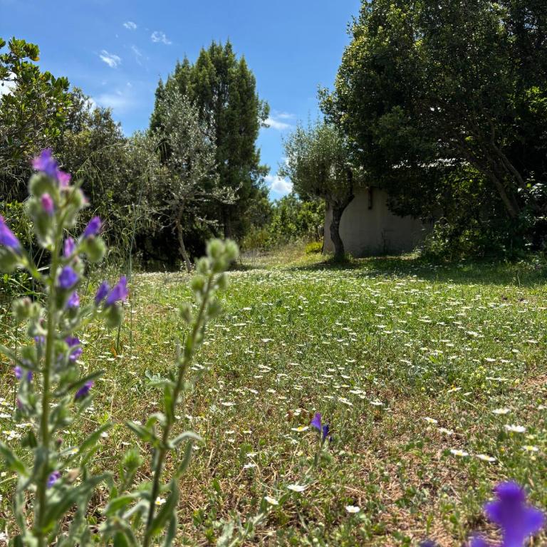 Villa Giulia - Two-Bedroom House - 38