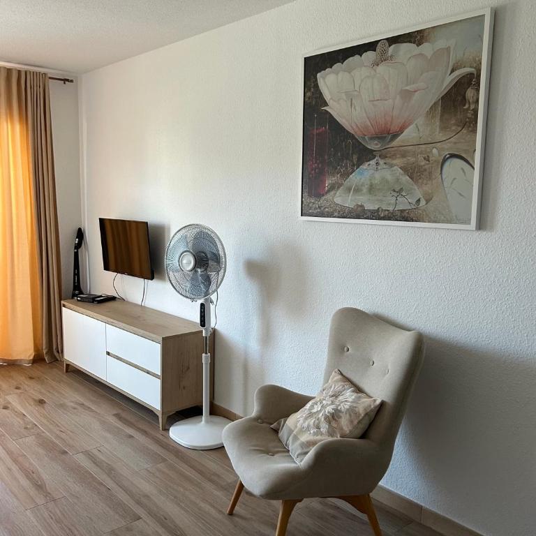 Mango - Apartamento de 1 dormitorio - 3