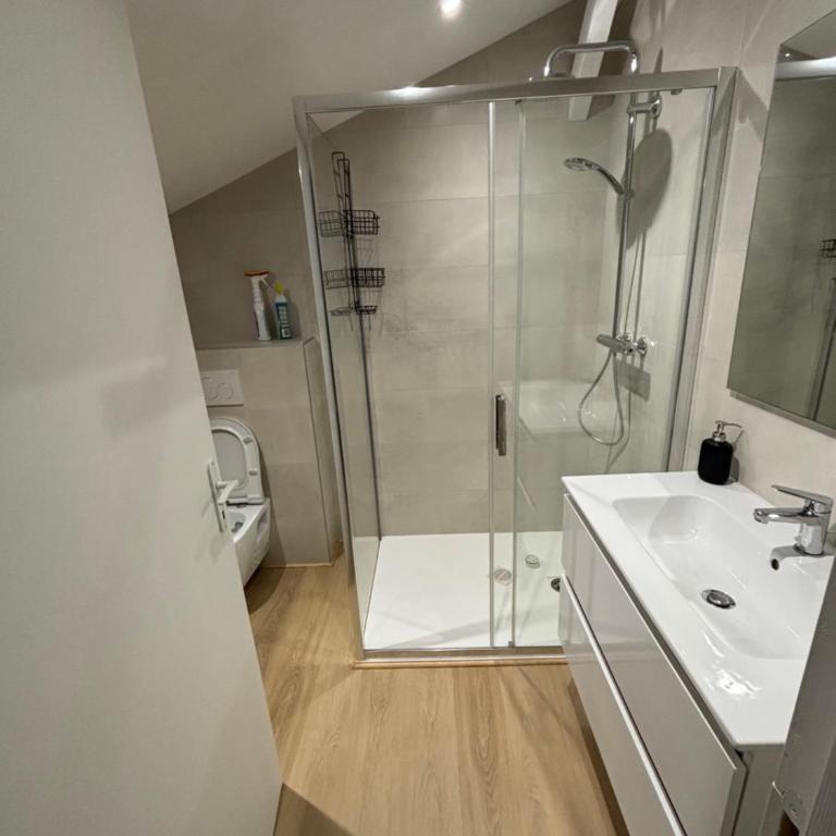 Grand appartement au centre de Cambo Les Bains - Two-Bedroom Apartment - 6