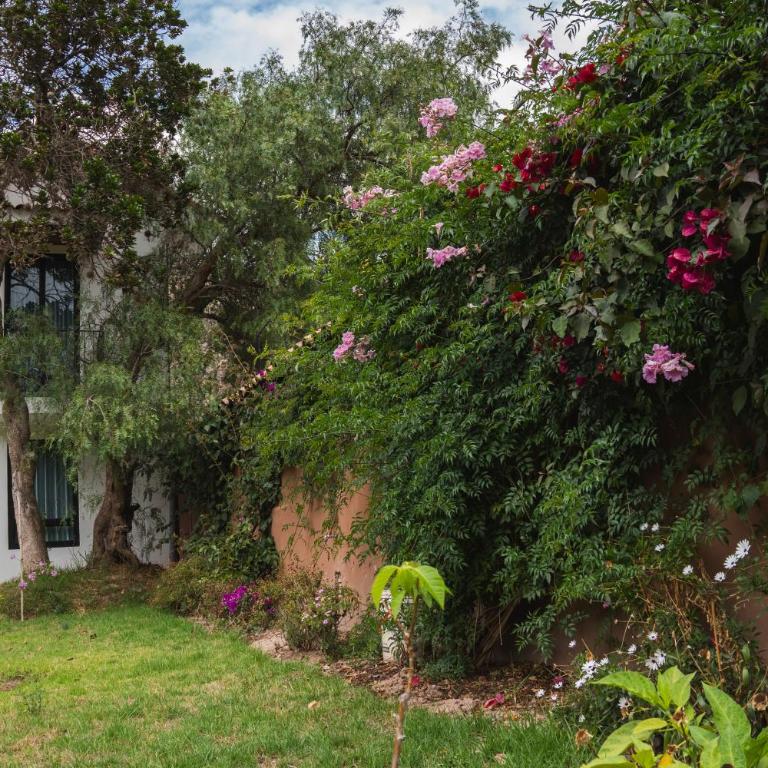 Beautiful house in the Sacred Valley "Casa Julia Cusco" - Six-Bedroom House - 2