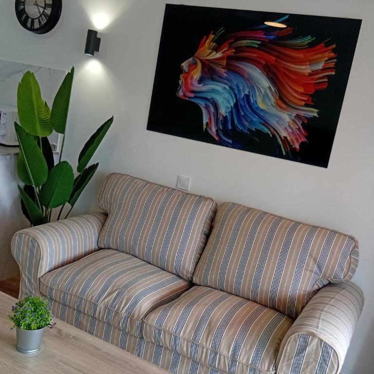 Apartamentos Los Juncos - One-Bedroom Apartment with Balcony - 6