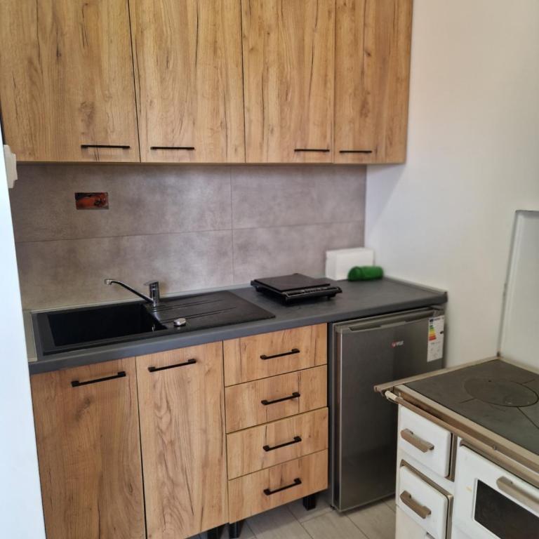 Etno Vila Drvenko - One-Bedroom Apartment - 22