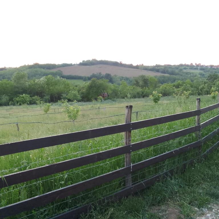Etno Vila Drvenko - One-Bedroom Apartment - 81
