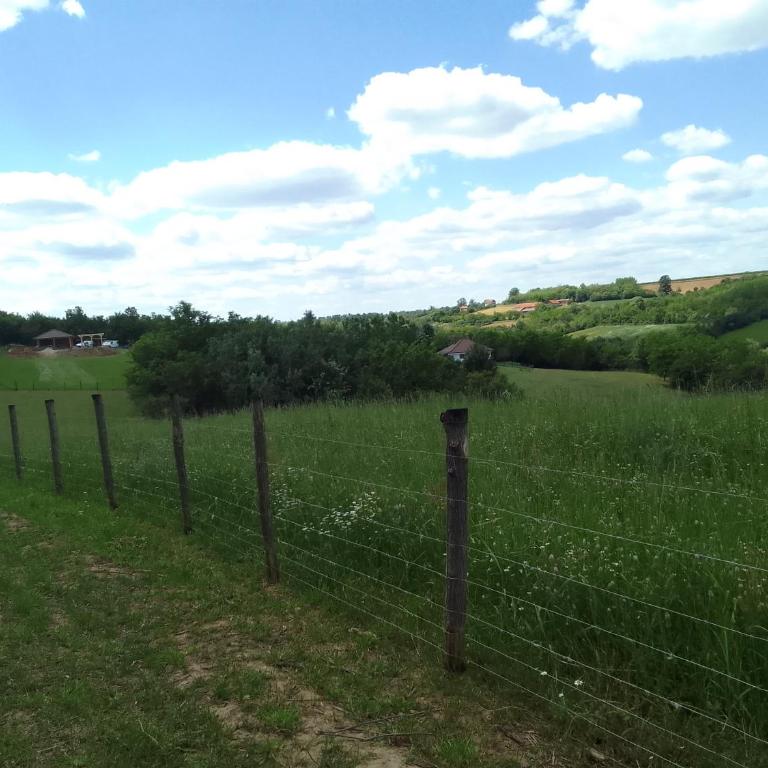 Etno Vila Drvenko - One-Bedroom Apartment - 92