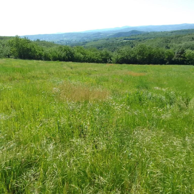 Etno Vila Drvenko - One-Bedroom Apartment - 88