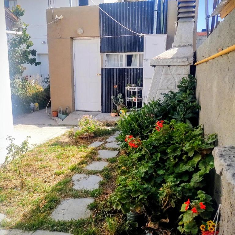 Suku - Apartamento de 1 dormitorio - 2