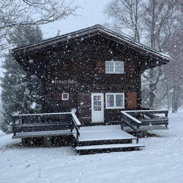 Chalet familial alpin tout en bois - Chalet 3 Chambres - 4