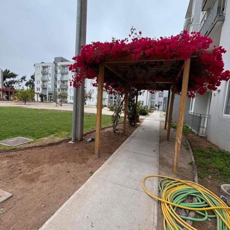 Lindo departamento en la serena, estacionamiento y wifi gratis - Three-Bedroom Apartment with Balcony - 15