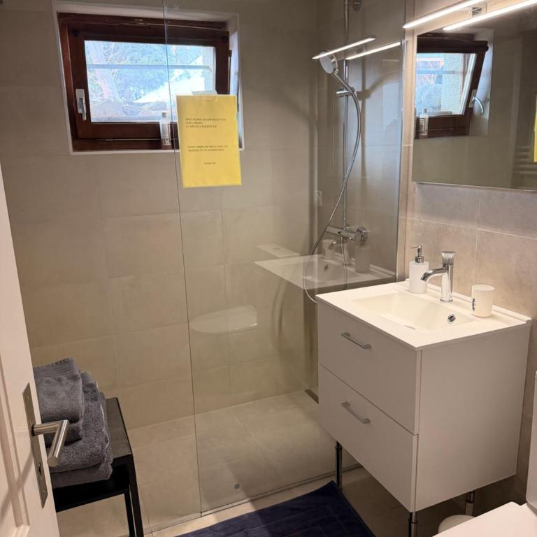 Superbe appartement avec vue et parking gratuit - Apartment mit 1 Schlafzimmer - 11