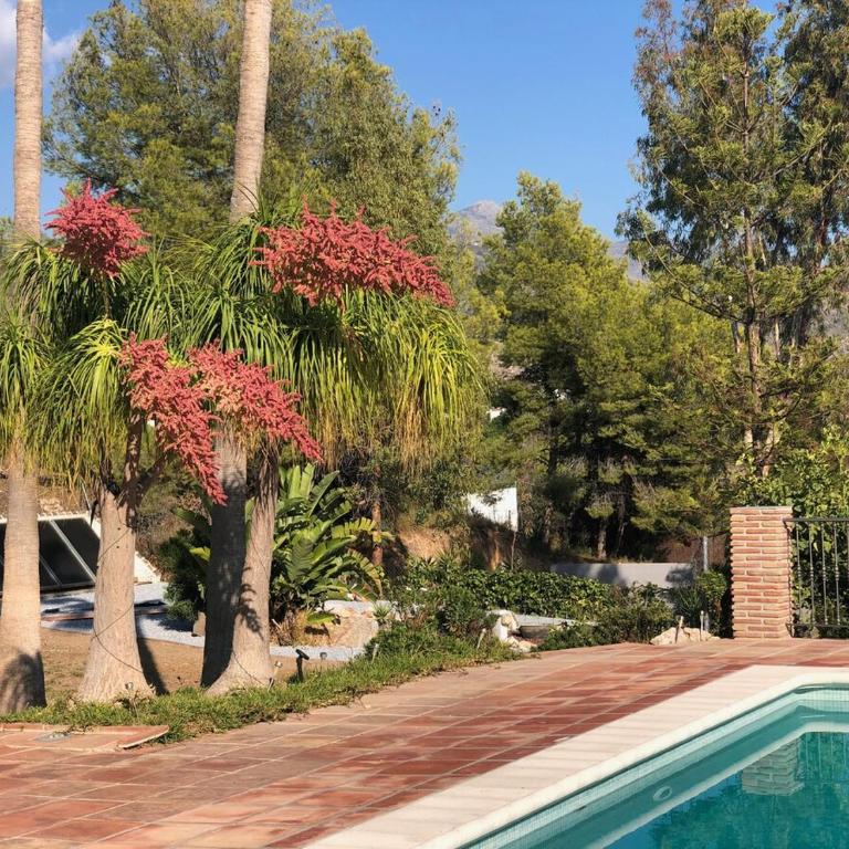 10-12-bed house in Nerja Frigiliana, Costa del Sol - Villa con piscina privada - 13