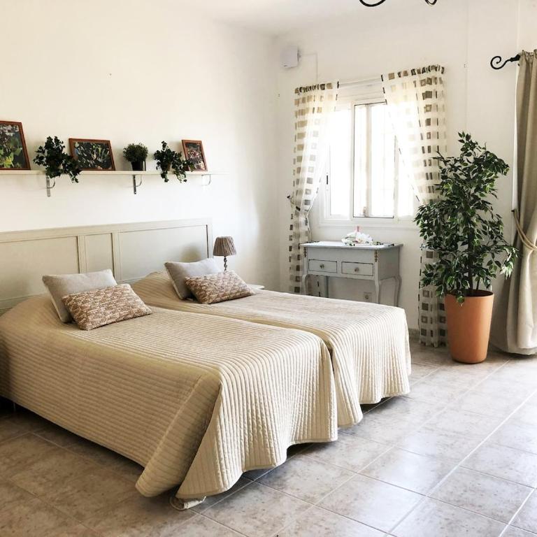 10-12-bed house in Nerja Frigiliana, Costa del Sol - Villa con piscina privada - 62
