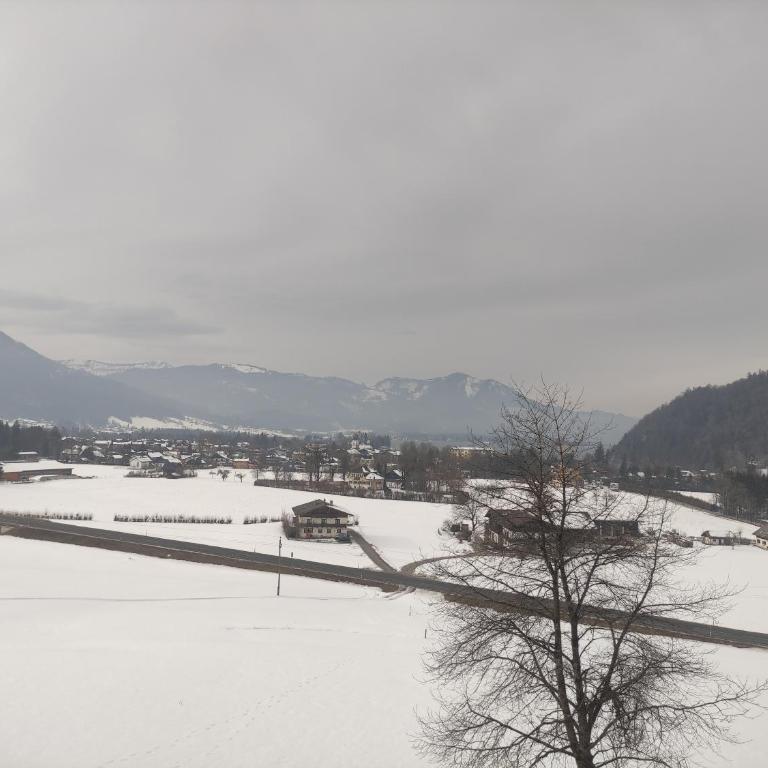 Wolfgangseeblick - Ferienwohnung Vockner - Apartment mit 1 Schlafzimmer - 19
