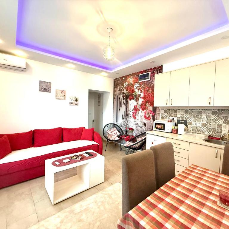 Apartman Petra Sokobanja - Apartman sa 1 Spavaćom Sobom - 4