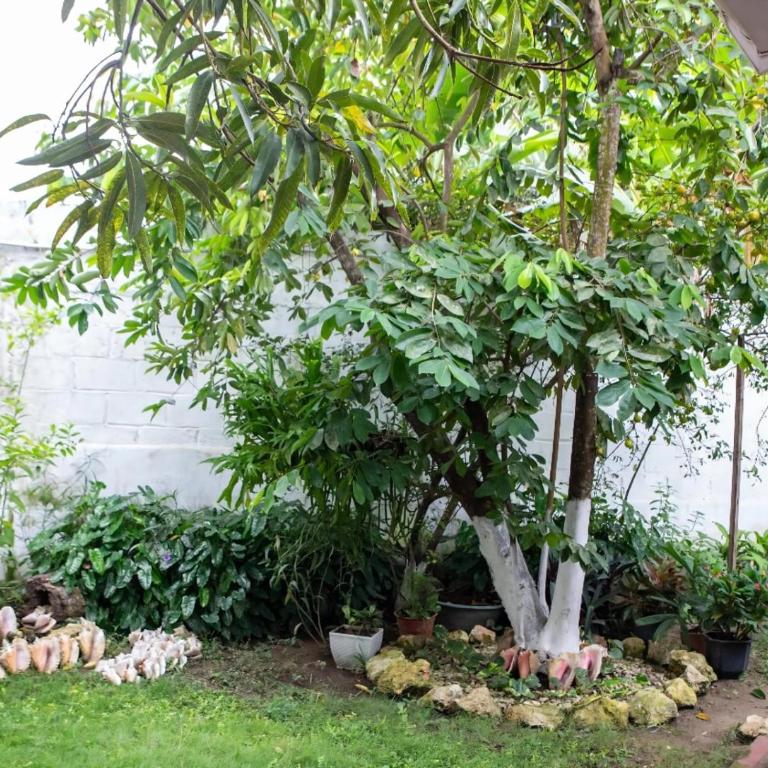 Hostal CORALES - Triple Room with Private Bathroom - 7