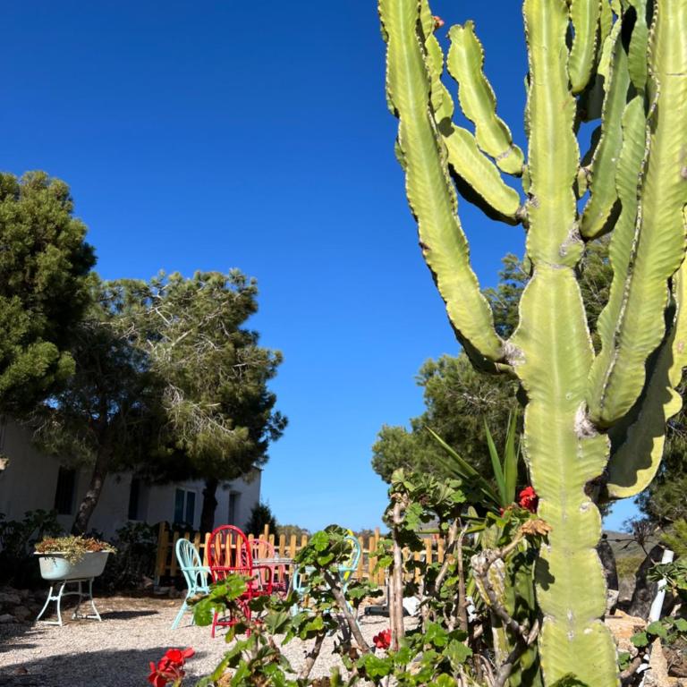 Casa de Ladrillo - Casa de 6 dormitorios - 28