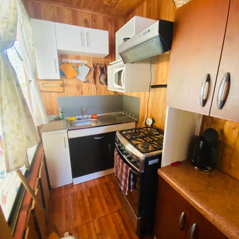 Cabaña Antü - One-Bedroom House - 1