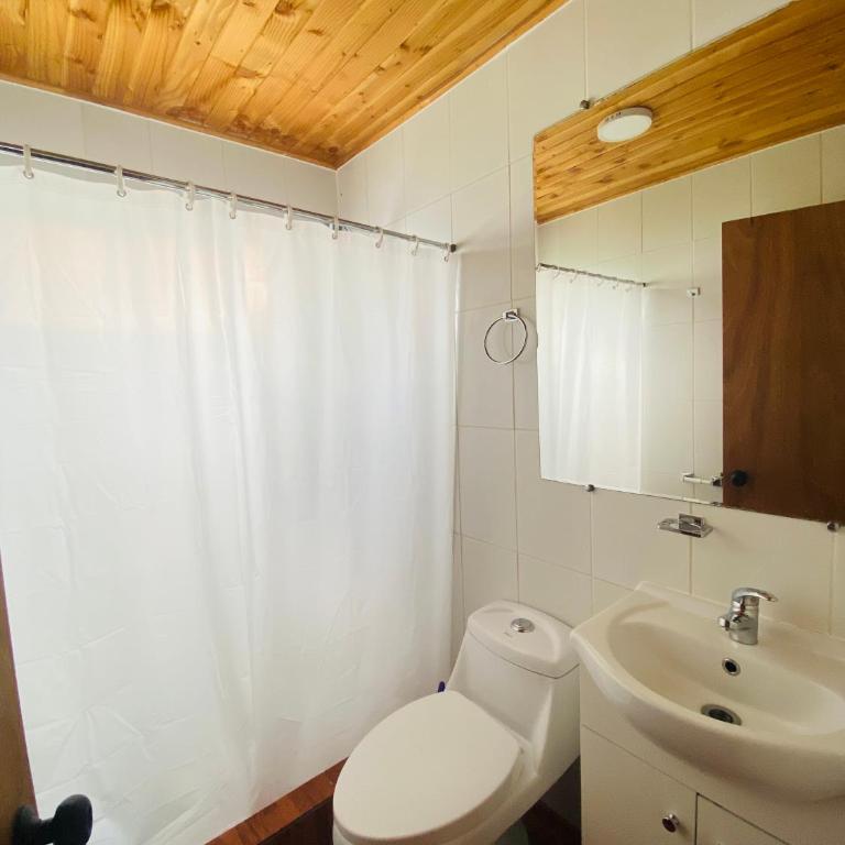 Cabaña Antü - One-Bedroom House - 5