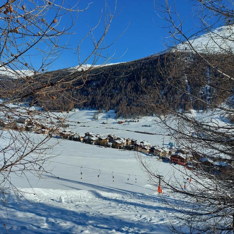 BAITA SOLDANELLA - Livigno - Appartamento con 1 Camera da Letto - 15