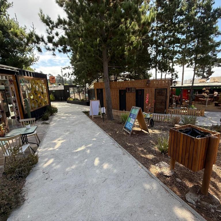Departamento en Bosque de Montemar - Two-Bedroom Apartment with Terrace - 27