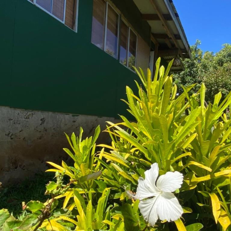 Hare Sunset Rapa Nui - One-Bedroom House - 13