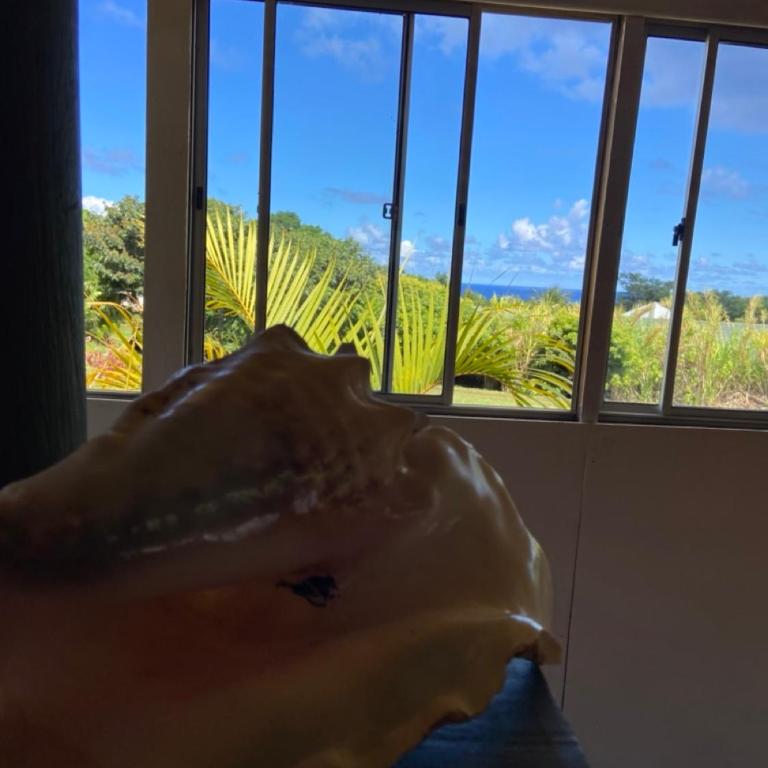 Hare Sunset Rapa Nui - One-Bedroom House - 18