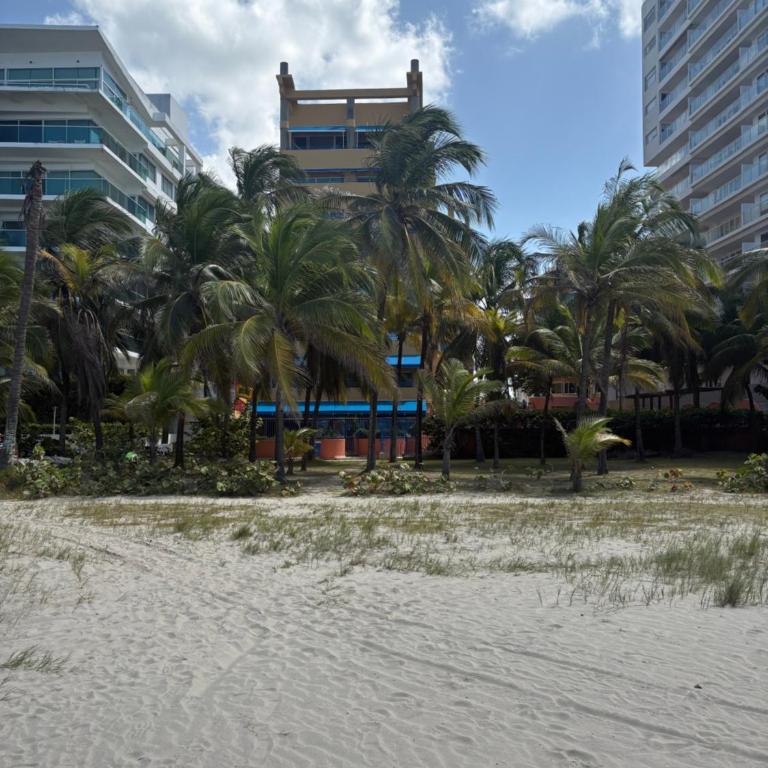 Caribbean Beachfront Getaway - Two-Bedroom Apartment - Oceanfront - 49