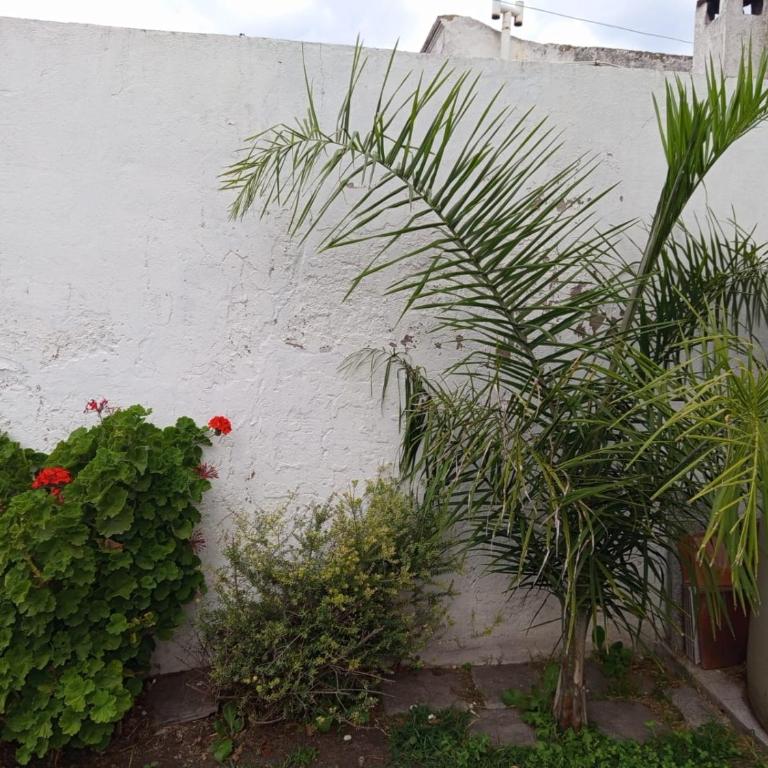 Apart Azul y Verde cochera gratis - One-Bedroom Apartment - 12