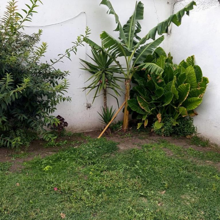 Apart Azul y Verde cochera gratis - One-Bedroom Apartment - 14