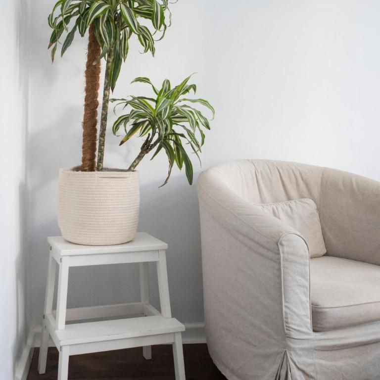 ABCyou Bed&Breakfast - Junior Suite - 12