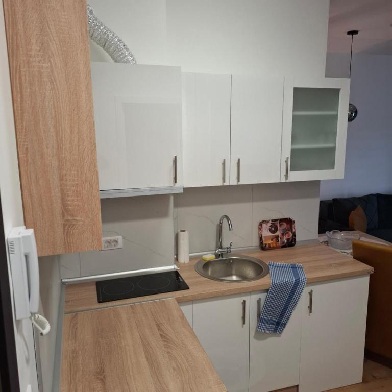 Apartman Jelena AS - Deluxe One-Bedroom Apartment - 14